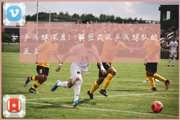 乒乓球深度：解密武汉乒乓球队的反击