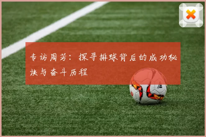 专访周芳：探寻排球背后的成功秘诀与奋斗历程