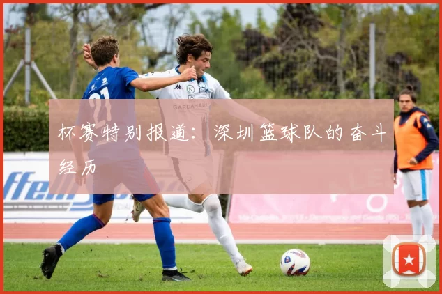 杯赛特别报道：深圳篮球队的奋斗经历