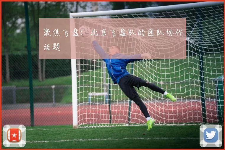 聚焦飞盘：北京飞盘队的团队协作话题