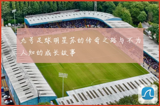 九号足球明星苏的传奇之路与不为人知的成长故事